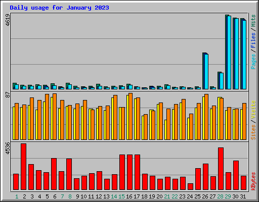 Daily usage for January 2023