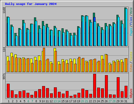 Daily usage for January 2024