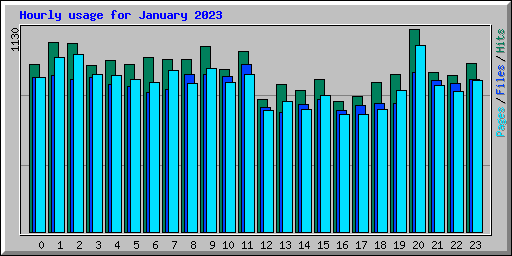 Hourly usage for January 2023