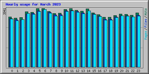Hourly usage for March 2023