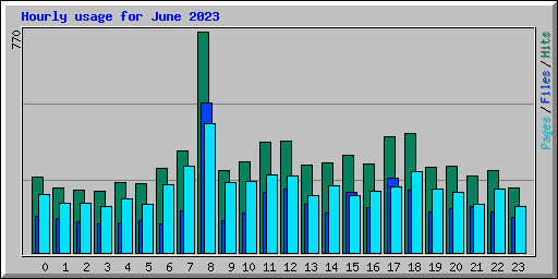 Hourly usage for June 2023