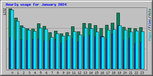 Hourly usage for January 2024