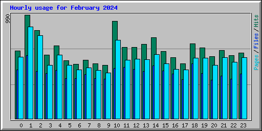 Hourly usage for February 2024