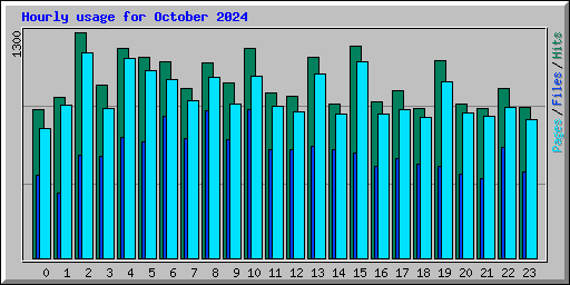 Hourly usage for October 2024