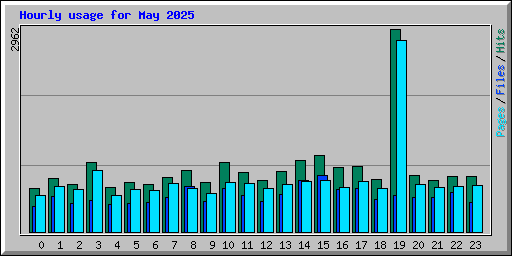 Hourly usage for May 2025