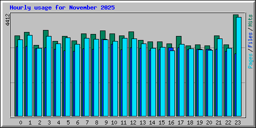 Hourly usage for November 2025