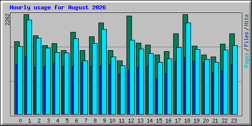 Hourly usage for August 2026